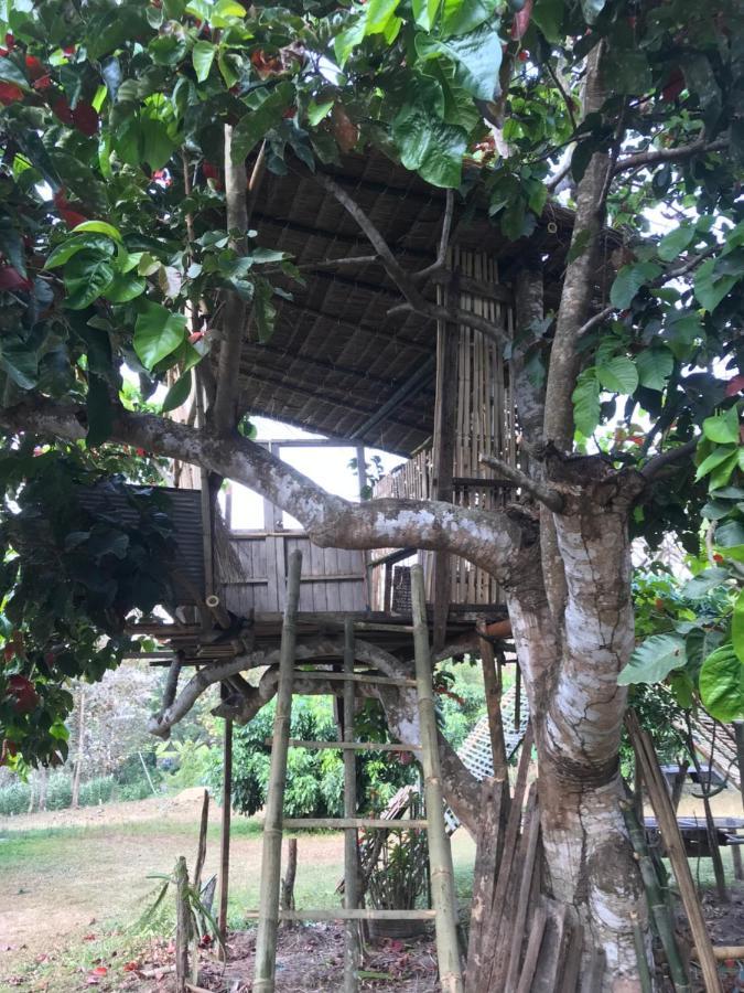 Amando_Tent Hotel Phayao Ngoại thất bức ảnh