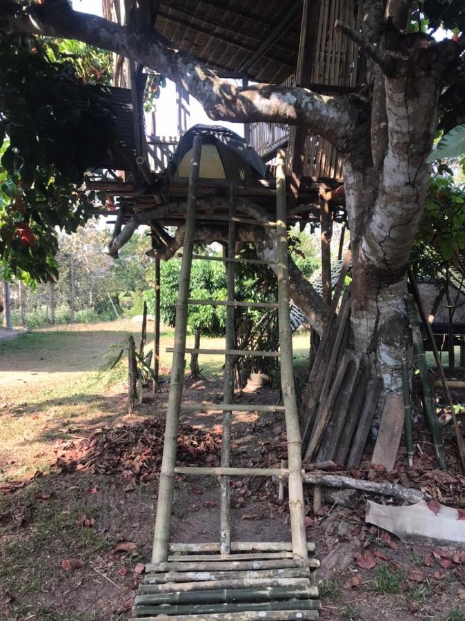 Amando_Tent Hotel Phayao Ngoại thất bức ảnh