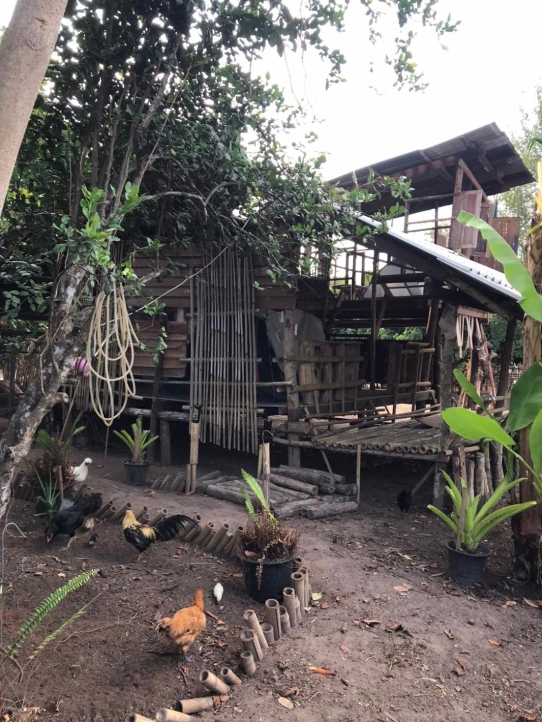 Amando_Tent Hotel Phayao Ngoại thất bức ảnh