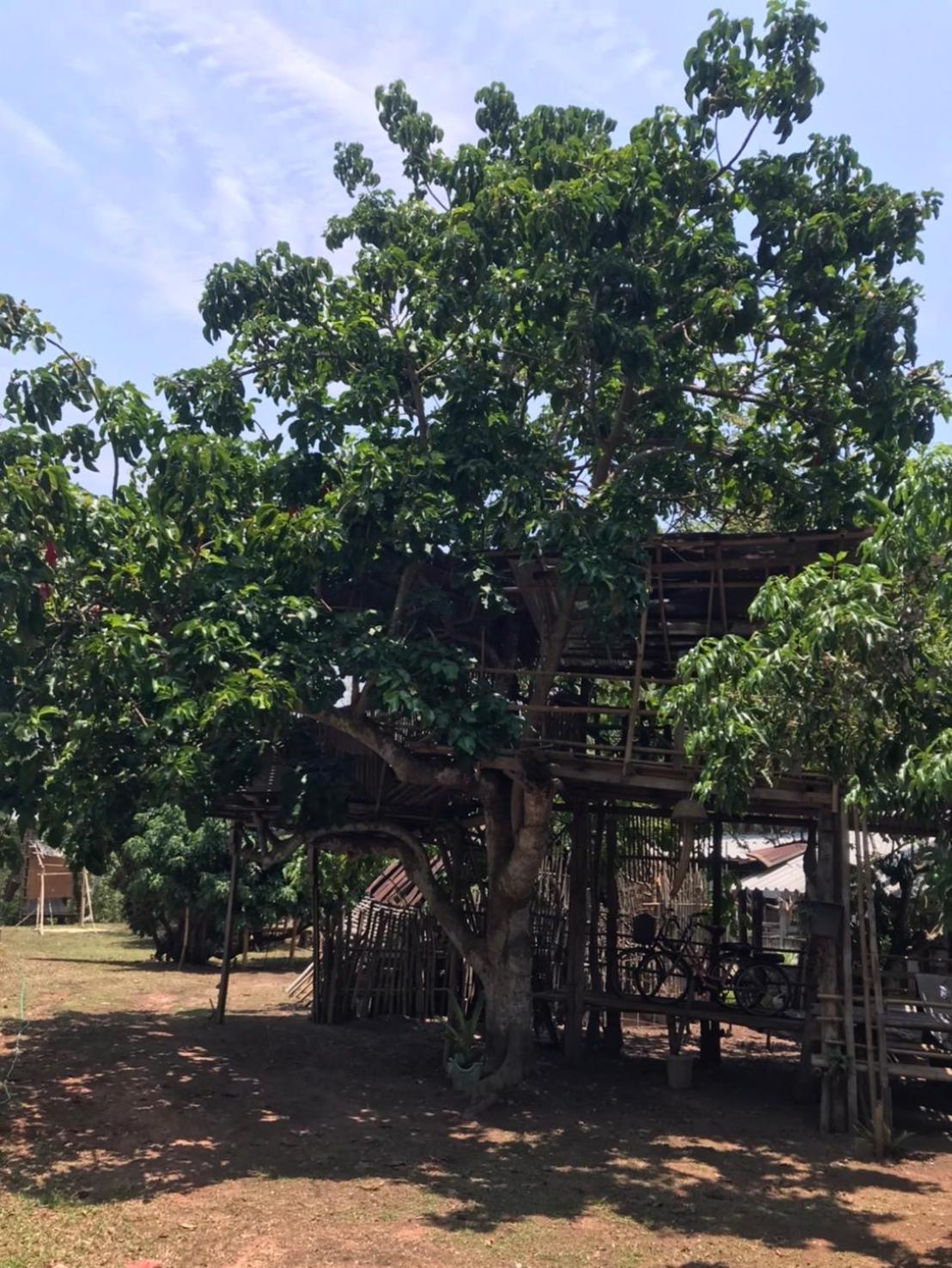 Amando_Tent Hotel Phayao Ngoại thất bức ảnh